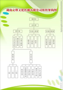 文化传播组织架图片